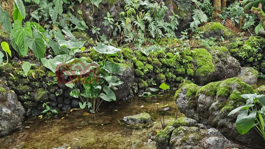 4 Tempat Viral yang Menggunakan HDPE Geomembrane untuk Konsep Unik dan Estetik