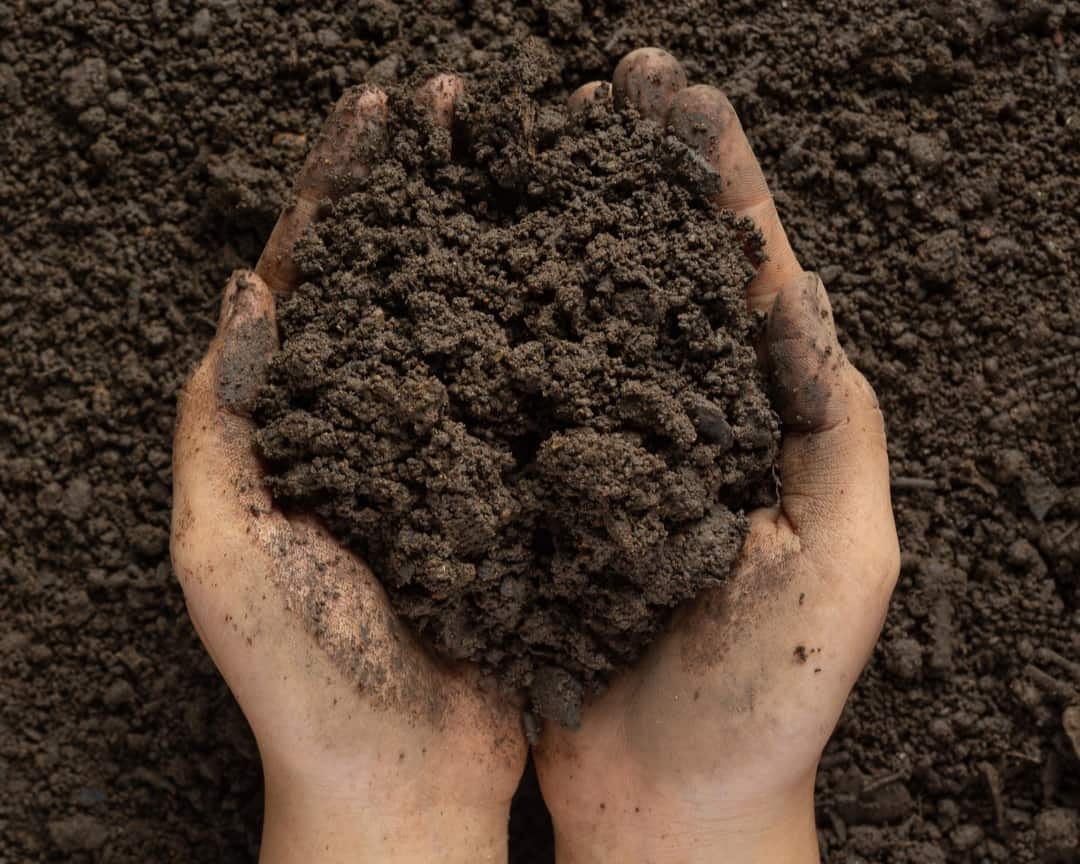 Kohesi Tanah: Pengertian, Peran, dan Kaitan dengan Geosintetik