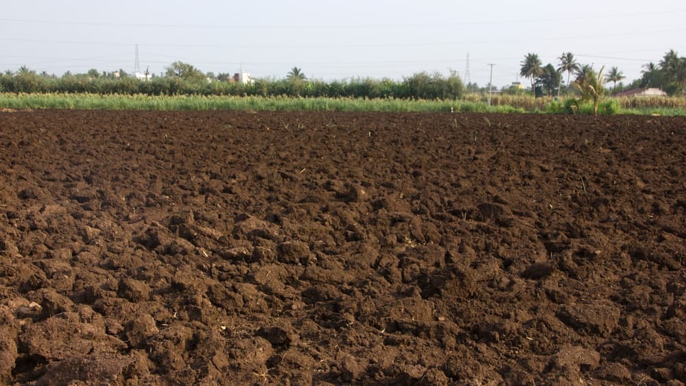 Penyelidikan Tanah: Kunci utama Keamanan dan Efisiensi Struktur Konstruksi