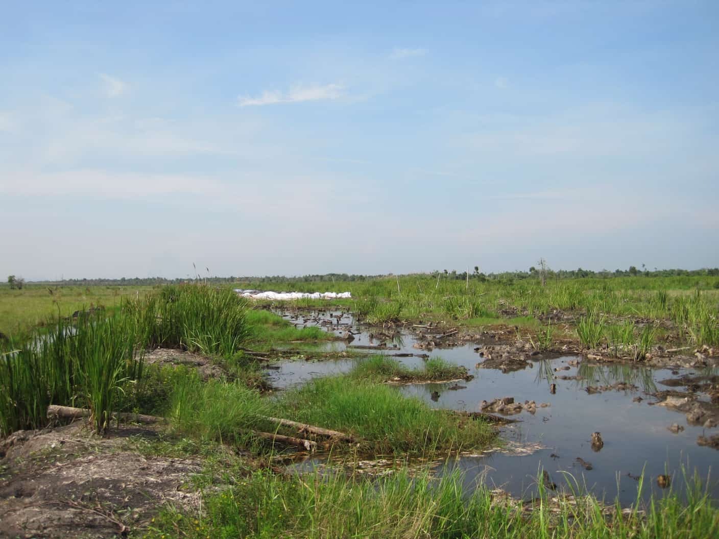 Perbaikan Tanah Rawa: Panduan Praktis untuk Sobat Multibangun